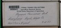 Image Associated With the Occurence